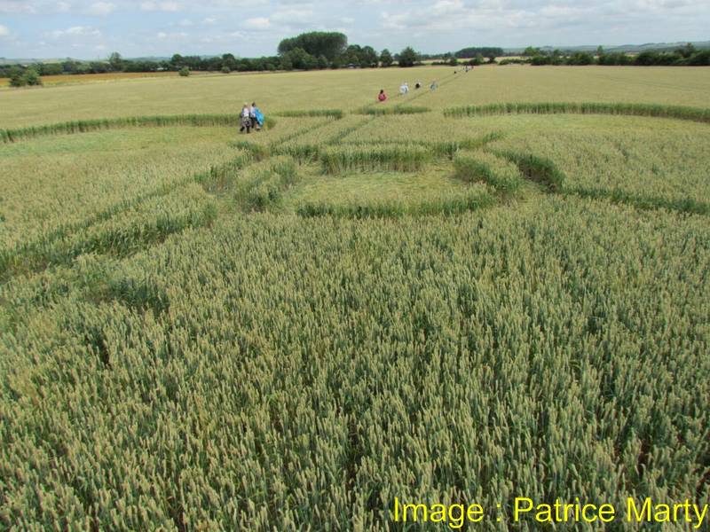Gripp Patch, Wiltshire crop circle, aerial photo 33