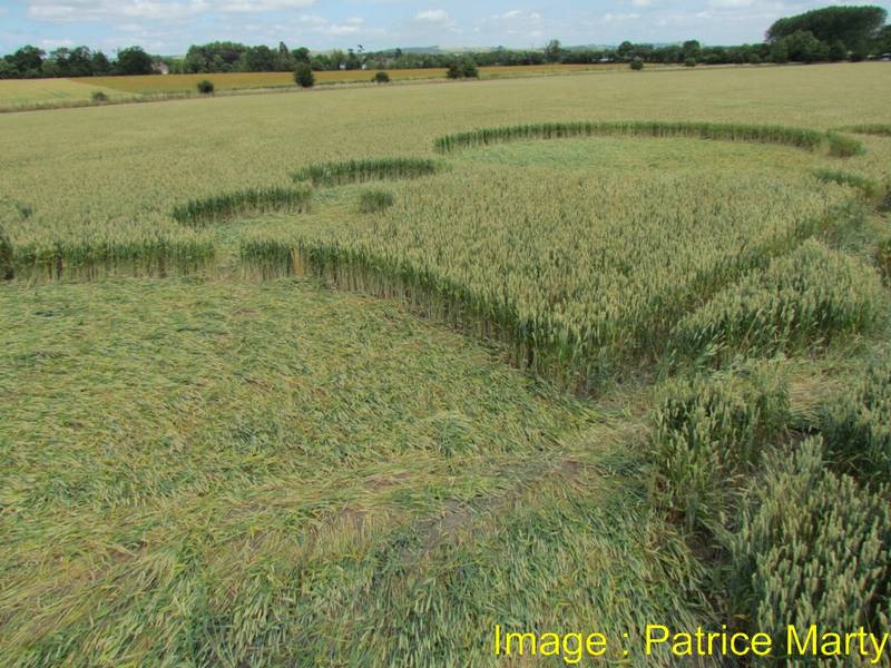 Gripp Patch, Wiltshire crop circle, aerial photo 32