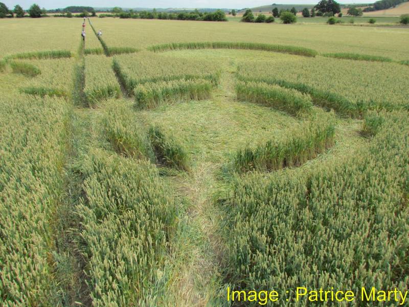 Gripp Patch, Wiltshire crop circle, aerial photo 31