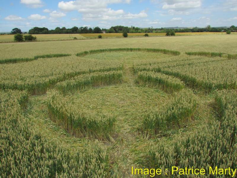 Gripp Patch, Wiltshire crop circle, aerial photo 30