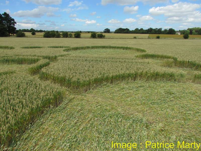 Gripp Patch, Wiltshire crop circle, aerial photo 50