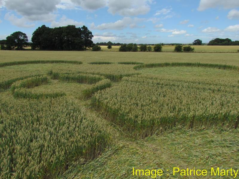 Gripp Patch, Wiltshire crop circle, aerial photo 48