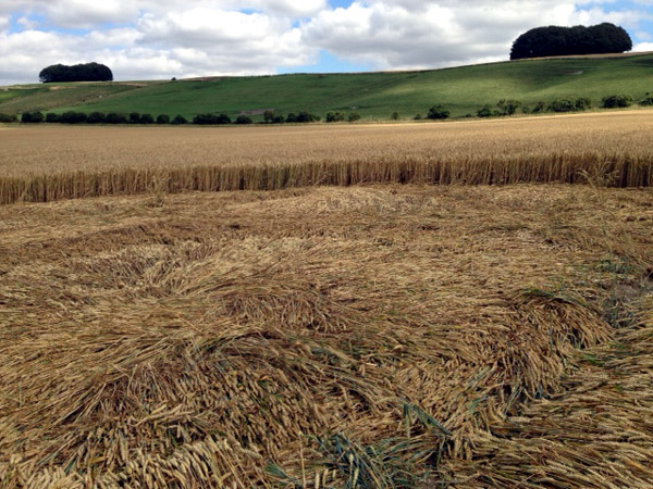 Hackpen Hill (2), Wiltshire crop circle, aerial photo 32