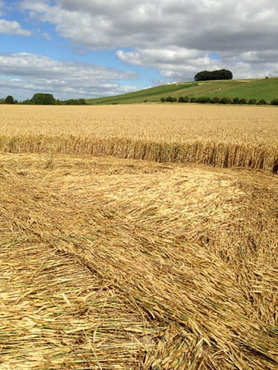 Hackpen Hill (2), Wiltshire crop circle, aerial photo 30