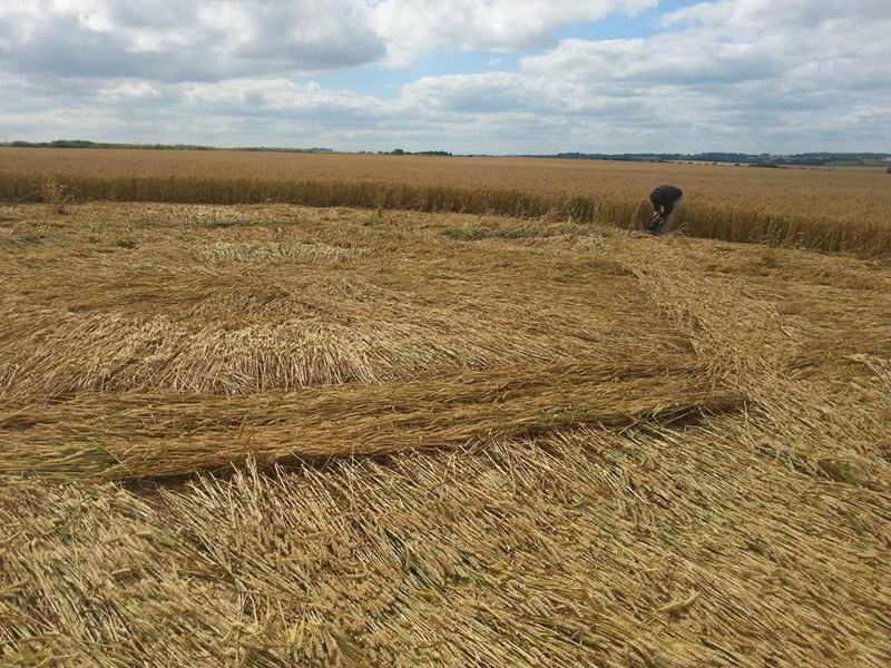 Hackpen Hill (2), Wiltshire crop circle, aerial photo 34