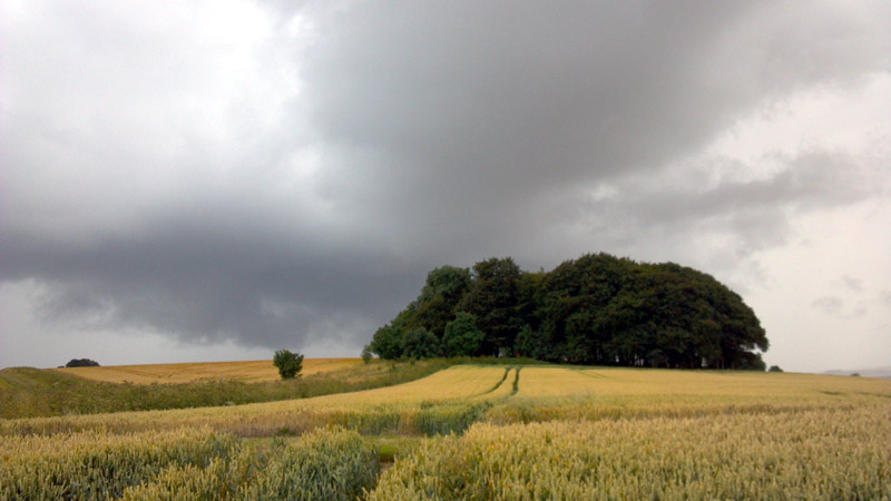 Hackpen Hill, Wiltshire crop circle, aerial photo 7