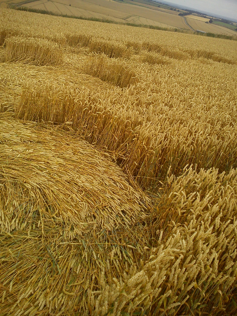 Hackpen Hill (4), Wiltshire crop circle, aerial photo 67