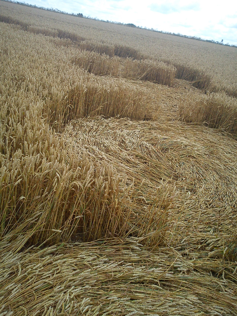 Hackpen Hill (4), Wiltshire crop circle, aerial photo 66