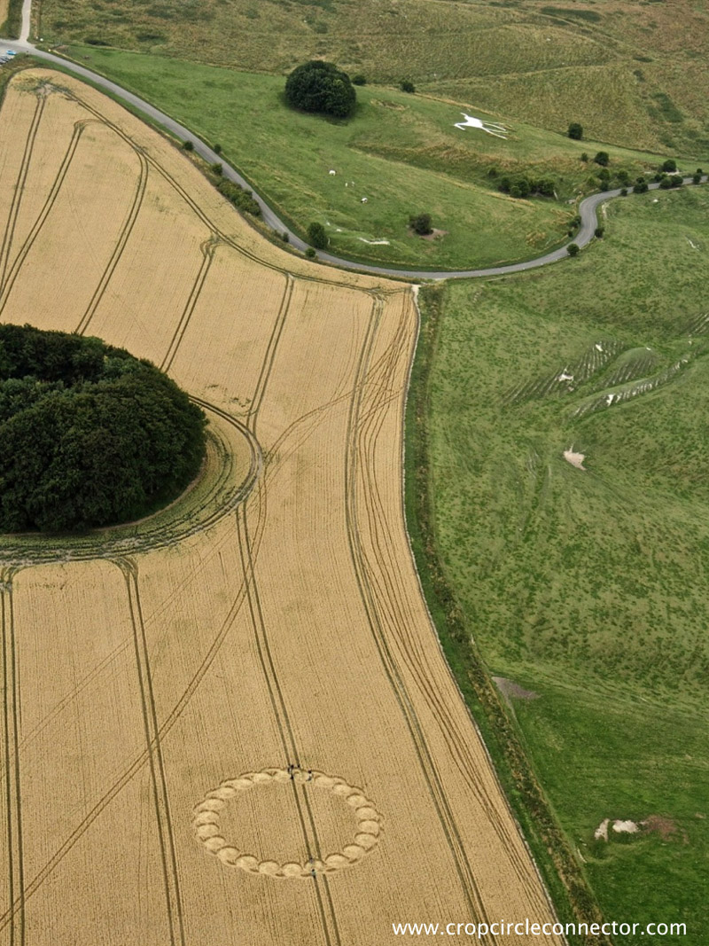 Hackpen Hill (4), Wiltshire crop circle, aerial photo 6