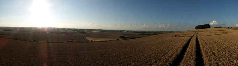 Hackpen Hill (4), Wiltshire crop circle, aerial photo 56
