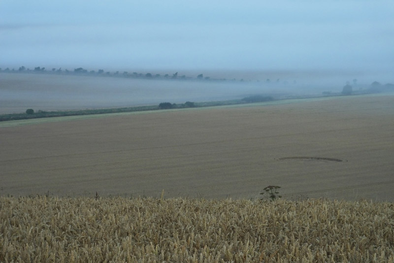 Hackpen Hill (4), Wiltshire crop circle, aerial photo 57