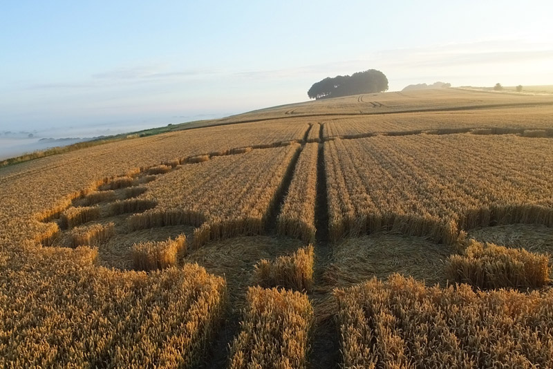 Hackpen Hill (4), Wiltshire crop circle, aerial photo 59