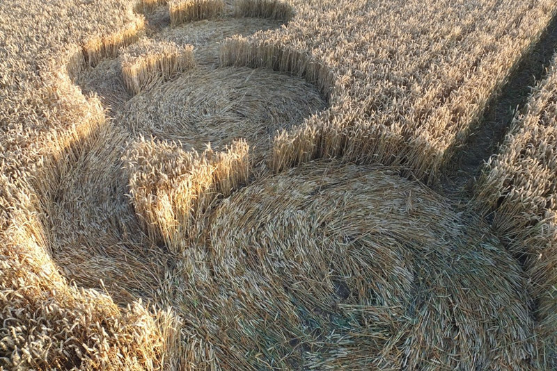 Hackpen Hill (4), Wiltshire crop circle, aerial photo 61