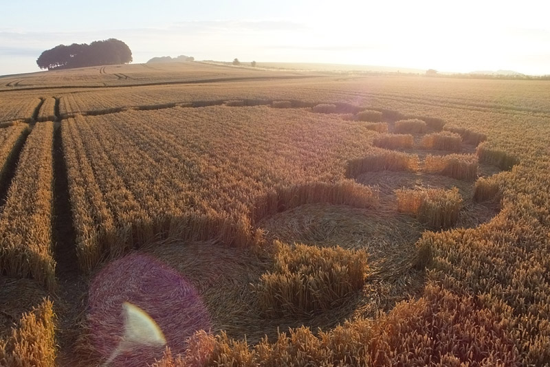 Hackpen Hill (4), Wiltshire crop circle, aerial photo 60