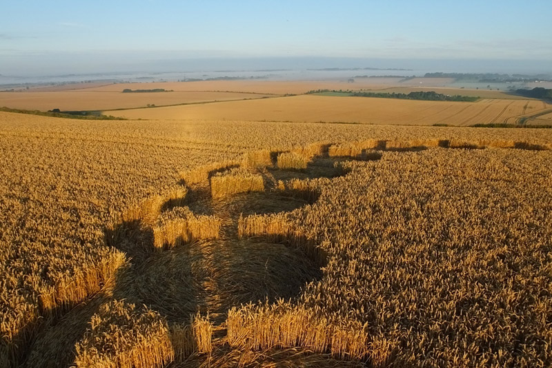 Hackpen Hill (4), Wiltshire crop circle, aerial photo 63