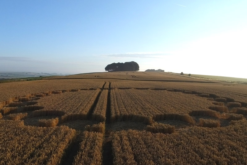 Hackpen Hill (4), Wiltshire crop circle, aerial photo 58