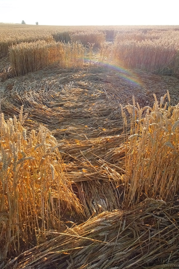 Hackpen Hill (4), Wiltshire crop circle, aerial photo 64