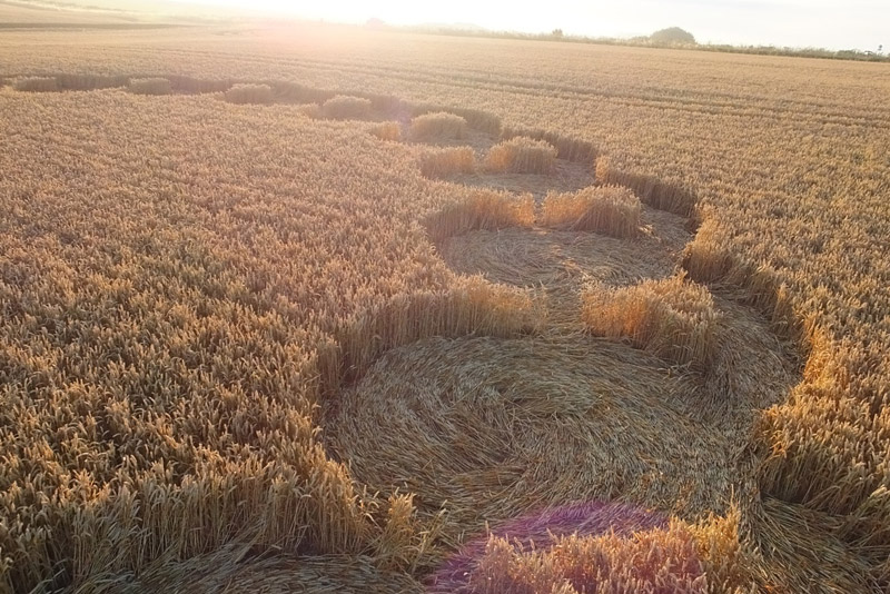 Hackpen Hill (4), Wiltshire crop circle, aerial photo 62