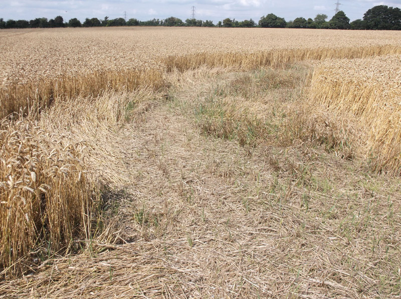 Hilcott, Wiltshire crop circle, aerial photo 38