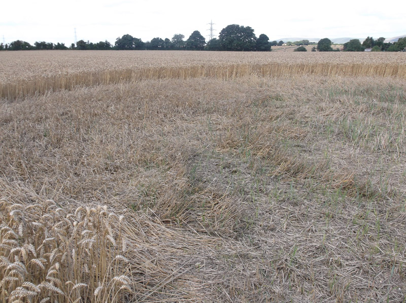 Hilcott, Wiltshire crop circle, aerial photo 41