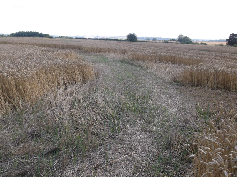 Hilcott, Wiltshire crop circle, aerial photo 39