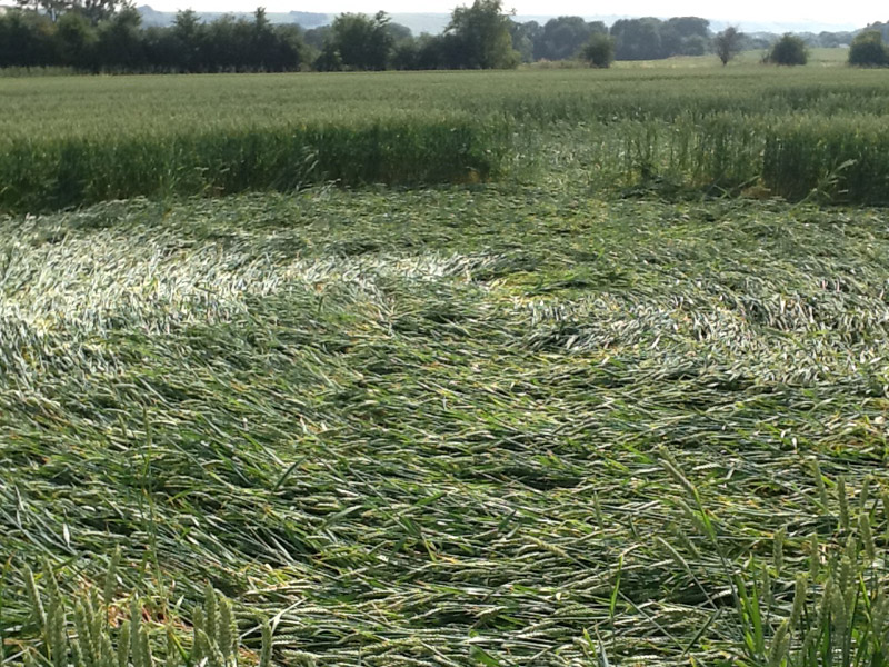 Hilcott, Wiltshire crop circle, aerial photo 31