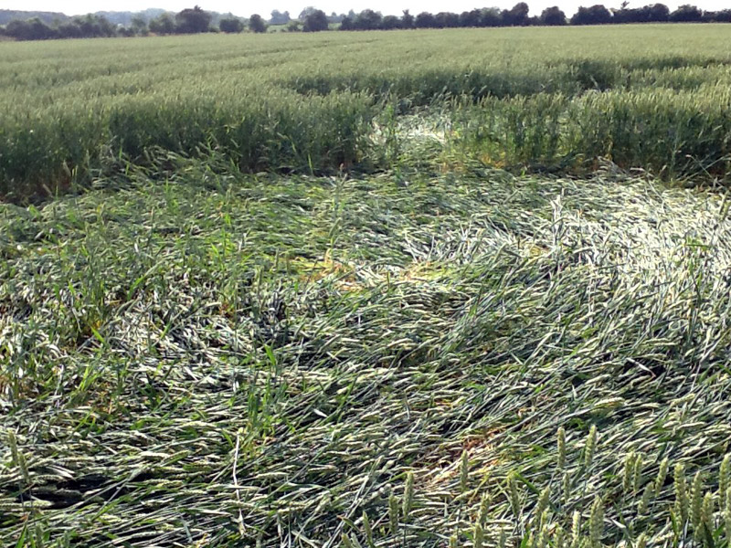 Hilcott, Wiltshire crop circle, aerial photo 33