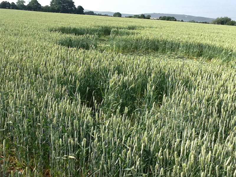 Hilcott, Wiltshire crop circle, aerial photo 32