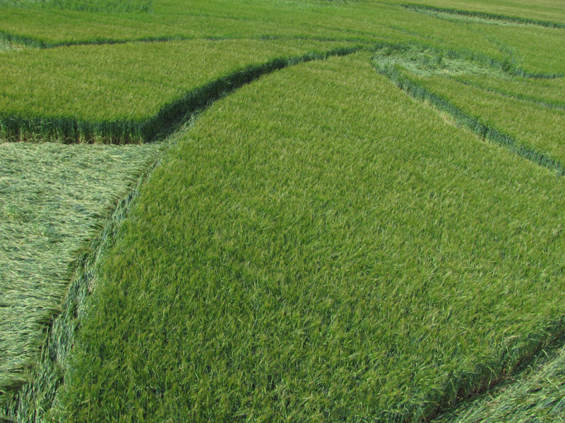 Hoden, Worcestershire crop circle, aerial photo 33