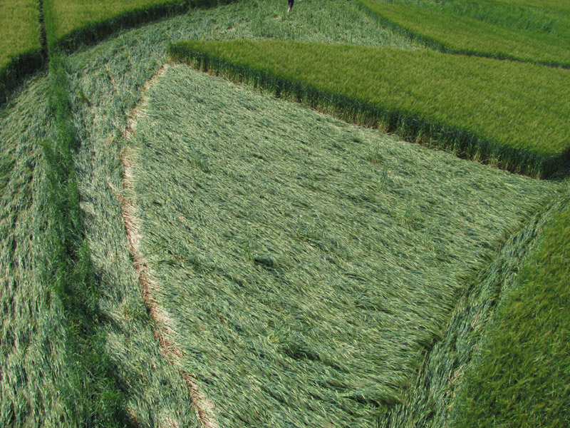 Hoden, Worcestershire crop circle, aerial photo 32