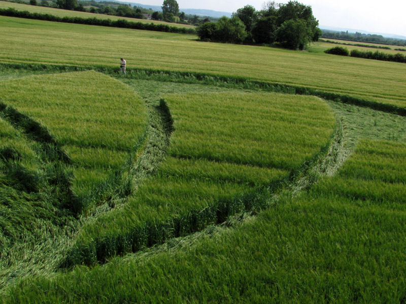 Hoden, Worcestershire crop circle, aerial photo 31