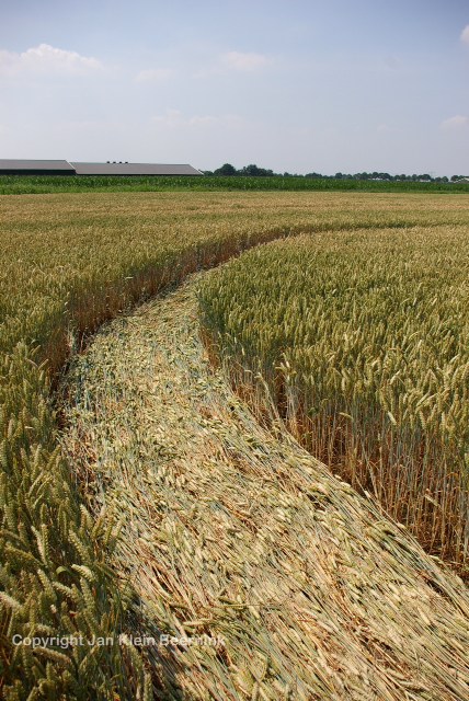 Hoeven (2), Netherlands crop circle, aerial photo 16