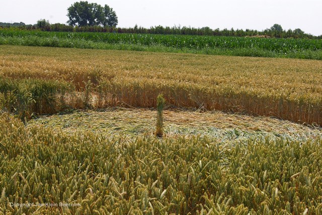 Hoeven (2), Netherlands crop circle, aerial photo 14