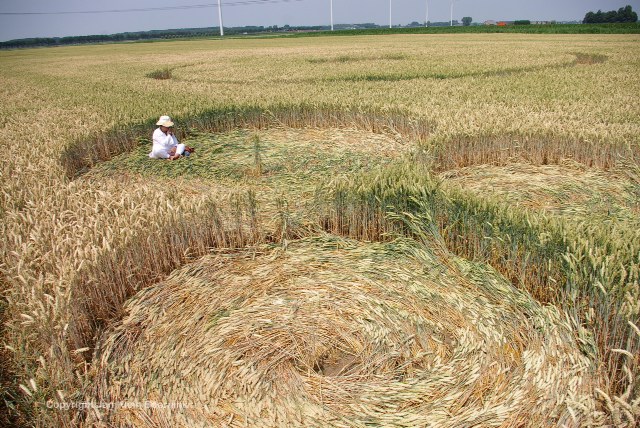 Hoeven (2), Netherlands crop circle, aerial photo 12