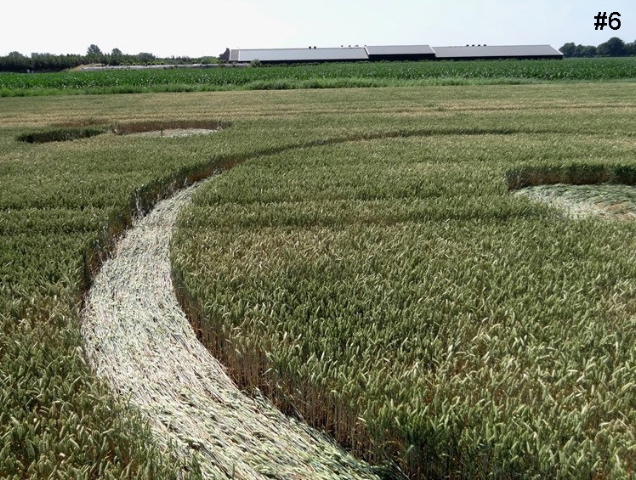 Hoeven (2), Netherlands crop circle, aerial photo 6