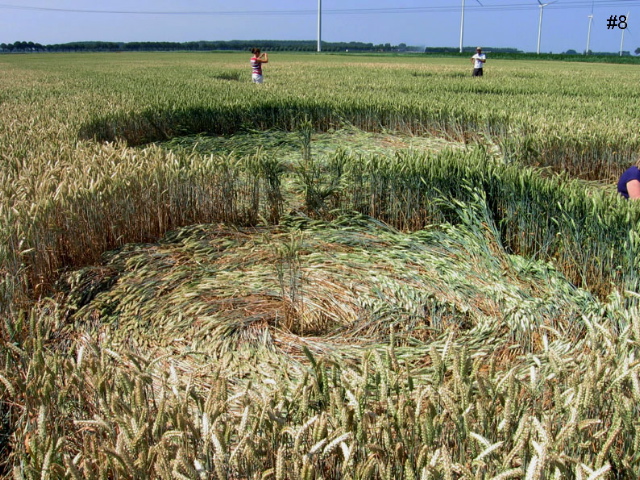Hoeven (2), Netherlands crop circle, aerial photo 8