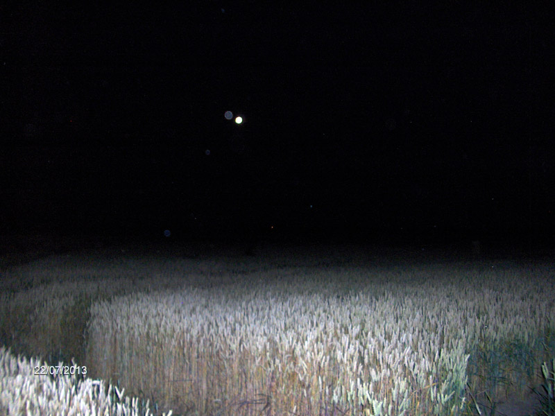 Hoeven (3), Netherlands crop circle, aerial photo 13