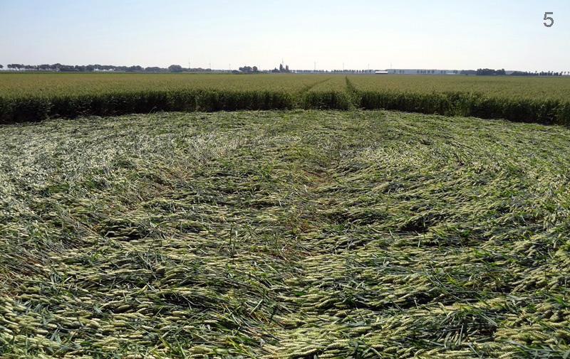 Hoeven (3), Netherlands crop circle, aerial photo 5