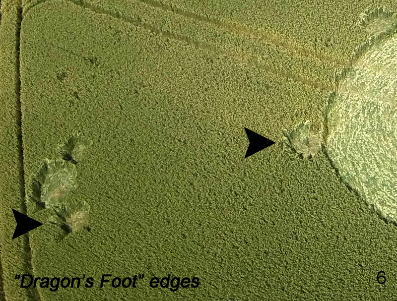 Hoeven (3), Netherlands crop circle, aerial photo 6