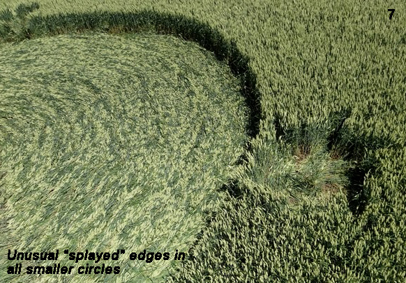 Hoeven (3), Netherlands crop circle, aerial photo 7