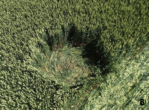 Hoeven (3), Netherlands crop circle, aerial photo 8