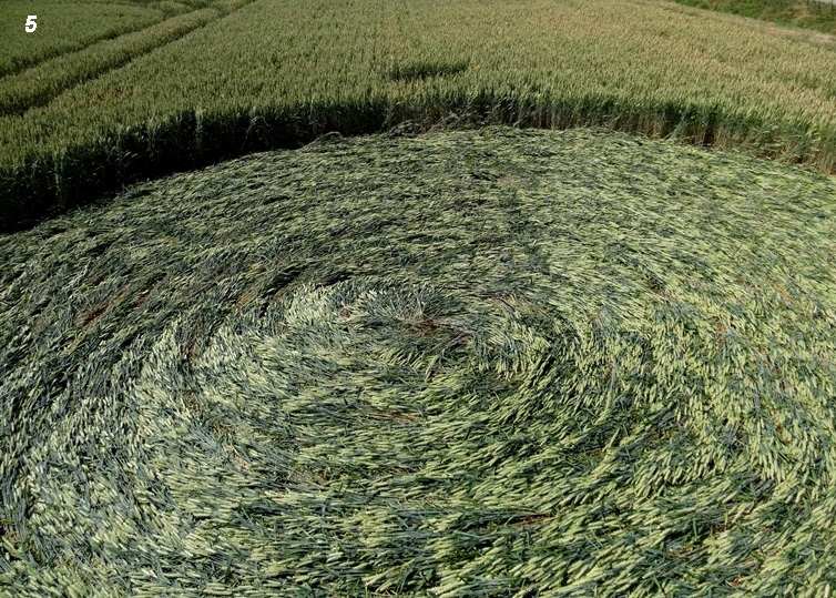Hoeven (4), Netherlands crop circle, aerial photo 5