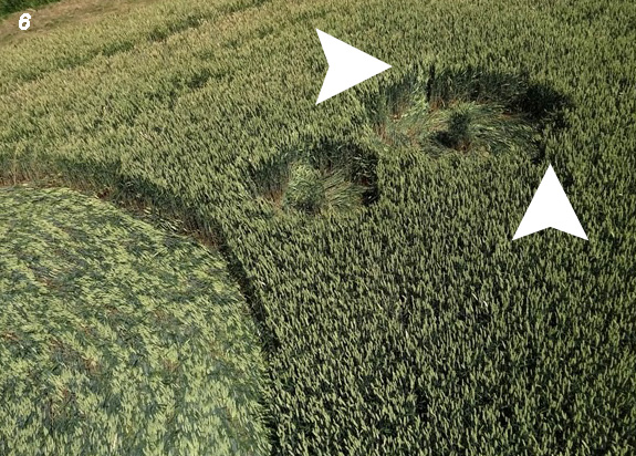 Hoeven (4), Netherlands crop circle, aerial photo 6