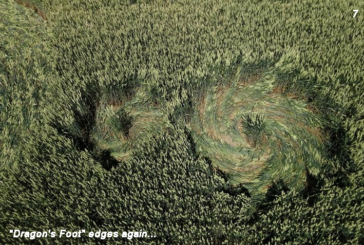 Hoeven (4), Netherlands crop circle, aerial photo 7