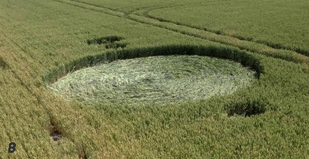 Hoeven (4), Netherlands crop circle, aerial photo 8