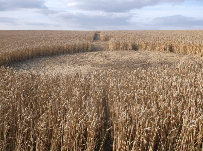 Monument Hill, Wiltshire crop circle, aerial photo 87