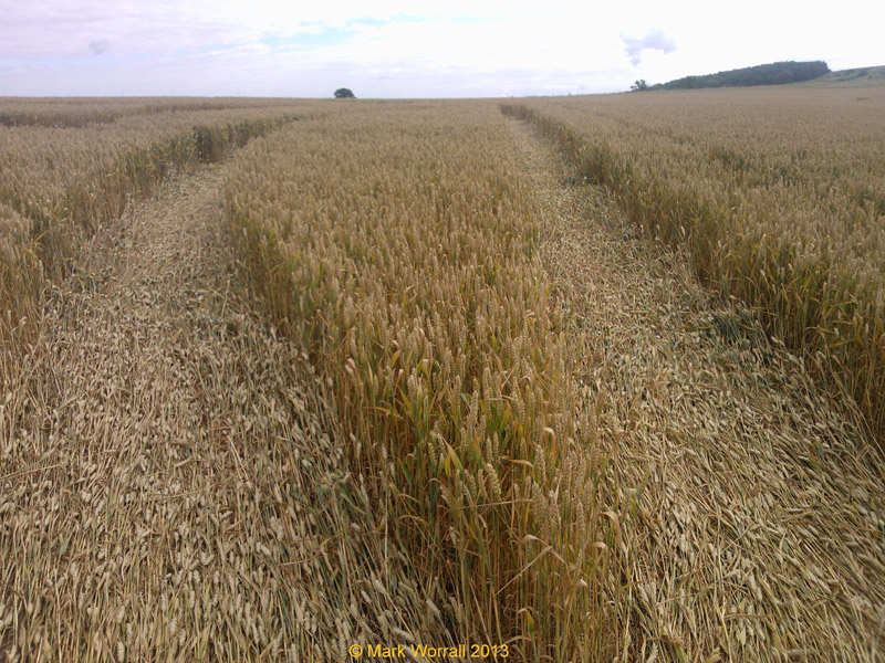 Monument Hill, Wiltshire crop circle, aerial photo 74