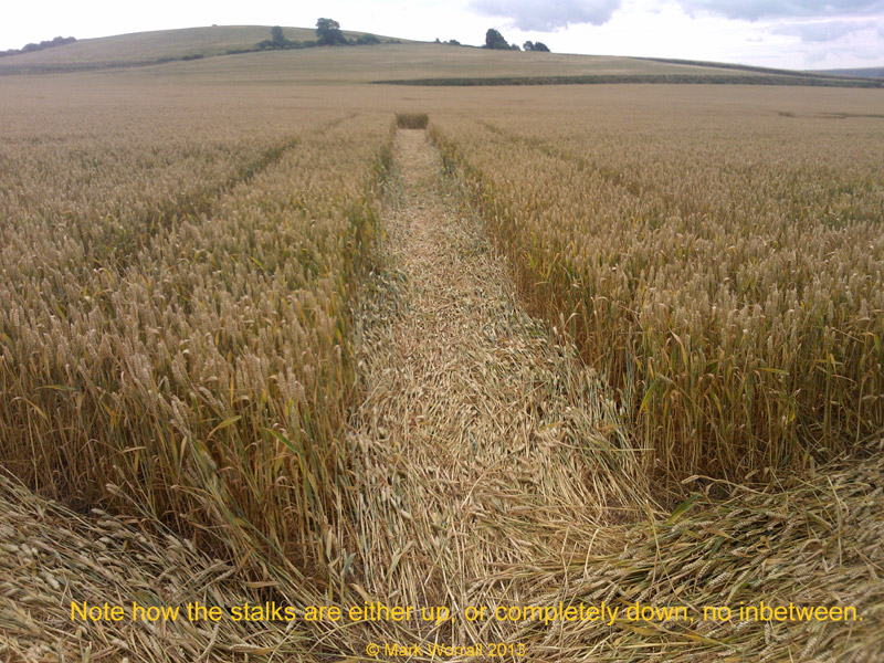 Monument Hill, Wiltshire crop circle, aerial photo 73