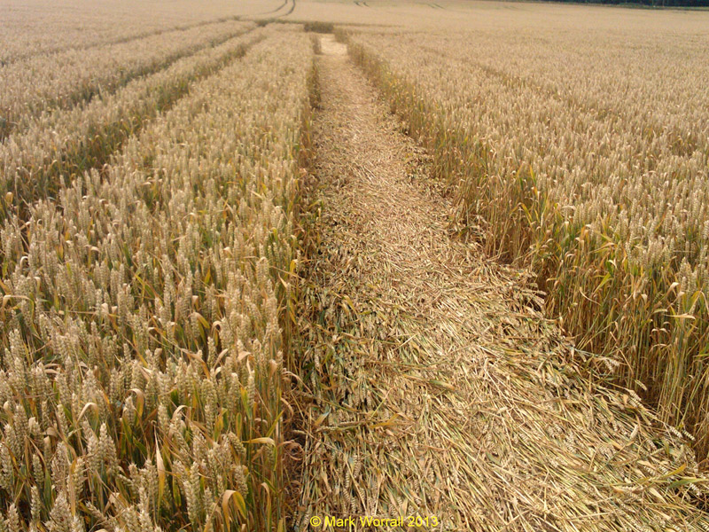 Monument Hill, Wiltshire crop circle, aerial photo 70