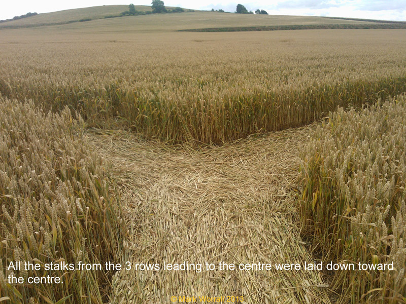 Monument Hill, Wiltshire crop circle, aerial photo 69
